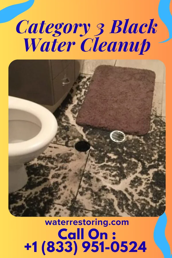 Category 3 Black Water Cleanup in Jefferson, LA